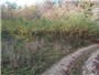 Ponúkame exkluzívne na predaj pozemok pri rybníku v obci Devičany o výmere 1006 m2