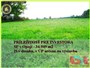 INVESTORI, DEVELOPERI : ponuka stavebného pozemku 34949m2 v obci OPOJ....... súhlas s IBV.......int